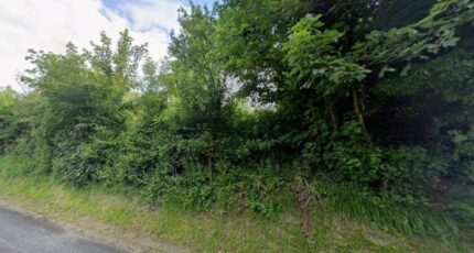 Marles-sur-Canche Maison neuve -  Maisons Les Naturelles