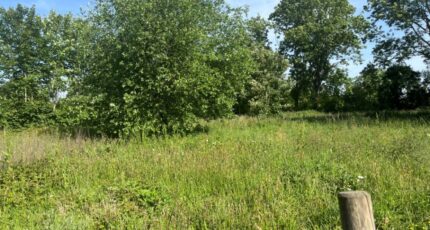 Lamotte-Buleux Maison neuve -  Maisons Les Naturelles