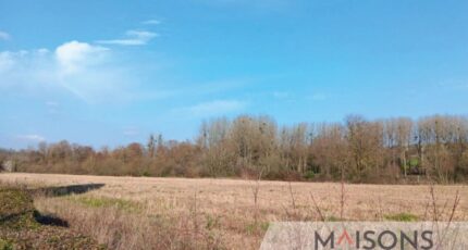 Saint-Aubin Maison neuve -  Maisons Les Naturelles