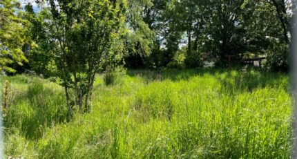 Cambron Maison neuve -  Maisons Les Naturelles
