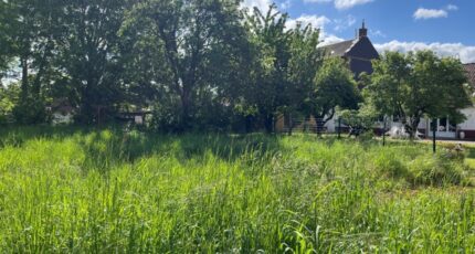 Cambron Maison neuve -  Maisons Les Naturelles