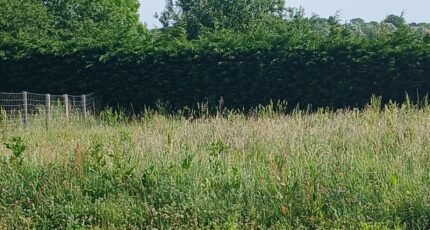 Mametz Terrain à bâtir -  Maisons Les Naturelles