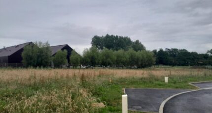 Wierre-Effroy Terrain à bâtir -  Maisons Les Naturelles