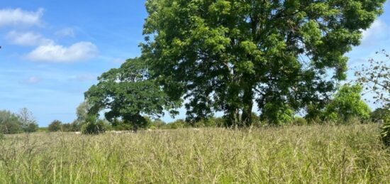 Terrain à bâtir à Pendé, Hauts-de-France
