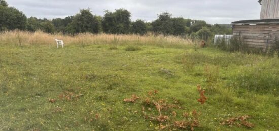 Terrain à bâtir à Crécy-en-Ponthieu, Hauts-de-France