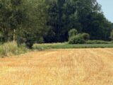 Terrain à Villers-sur-Authie  Maisons Les Naturelles