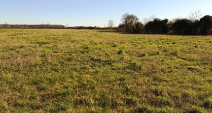 Recques-sur-Course Maison neuve - 2622471-10209annonce120260907L34Nq.jpeg Maisons Les Naturelles