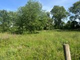 Terrain à bâtir à Lamotte-Buleux (80150) 2598533-5042annonce220260807wzOPA.jpeg Maisons Les Naturelles