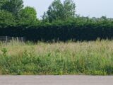 Maison à construire à Mametz (62120) 2627273-11072annonce120260909MIkSw.jpeg Maisons Les Naturelles