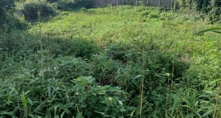 Rue Maison neuve - 2636460-11934annonce120260916Vhz5W.jpeg Maisons Les Naturelles