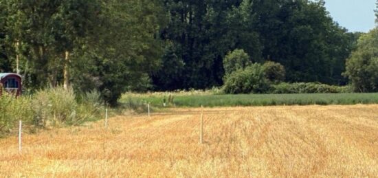 Terrain à bâtir à Villers-sur-Authie, Hauts-de-France