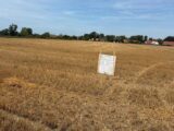 Terrain à bâtir à Villers-sur-Authie (80120) 2641674-11934annonce220260921hJRiG.jpeg Maisons Les Naturelles