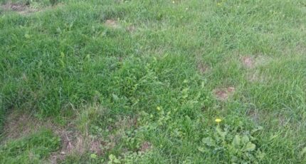 Huppy Maison neuve - 2640044-11934annonce120260918zvvhK.jpeg Maisons Les Naturelles
