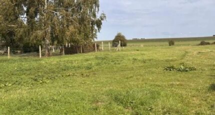 Dominois Maison neuve - 2642419-11934annonce120260921xXOnC.jpeg Maisons Les Naturelles