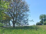 Maison à construire à Argoules (80120) 2644005-11934annonce120260922FhPTq.jpeg Maisons Les Naturelles