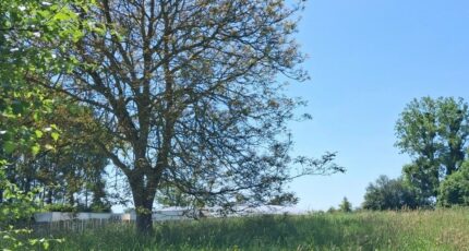 Argoules Maison neuve - 2644008-11934annonce120260922FhPTq.jpeg Maisons Les Naturelles