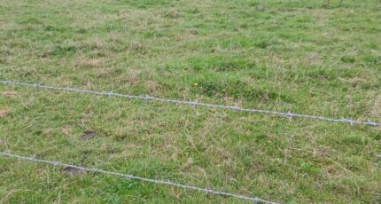 Saint-Quentin-en-Tourmont Maison neuve - 2658394-11934annonce120261001OQOB4.jpeg Maisons Les Naturelles
